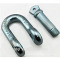 US Type Drop Forged Clevis D Shackles